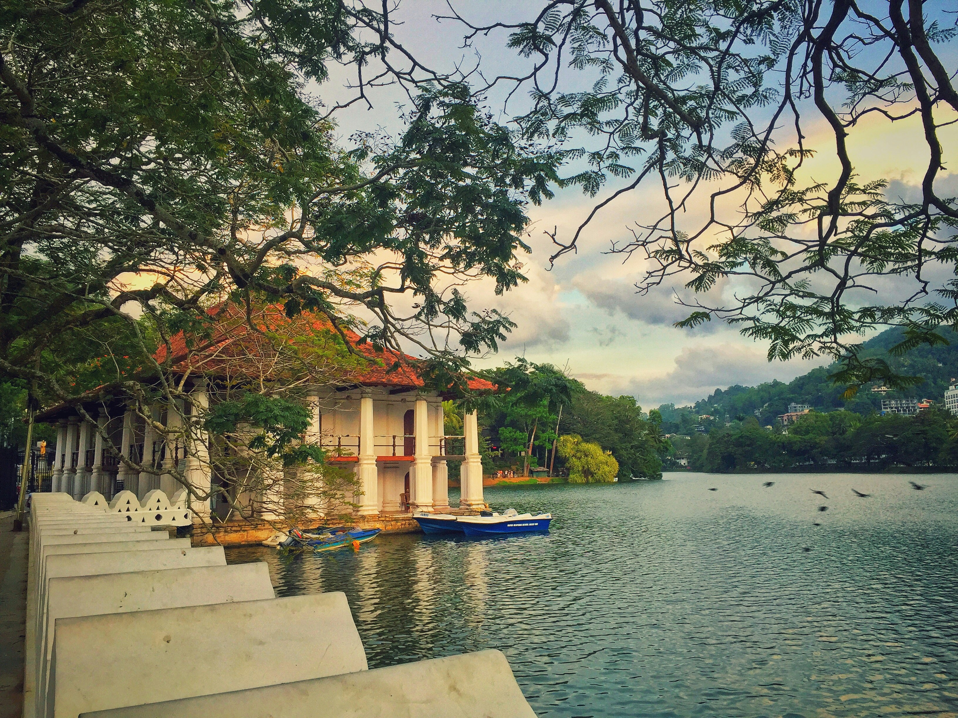 Galle