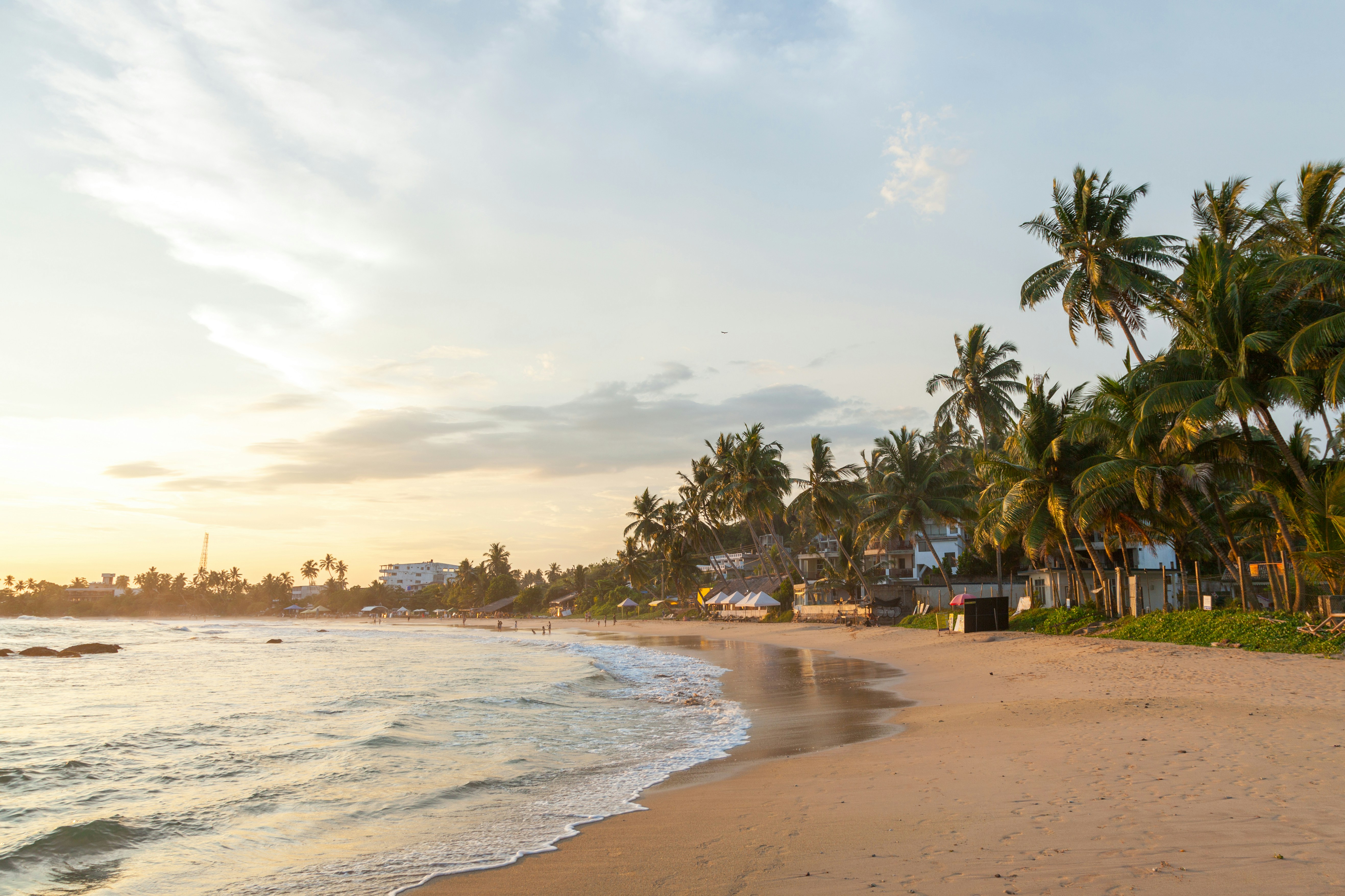 Sri Lankan tropical beach